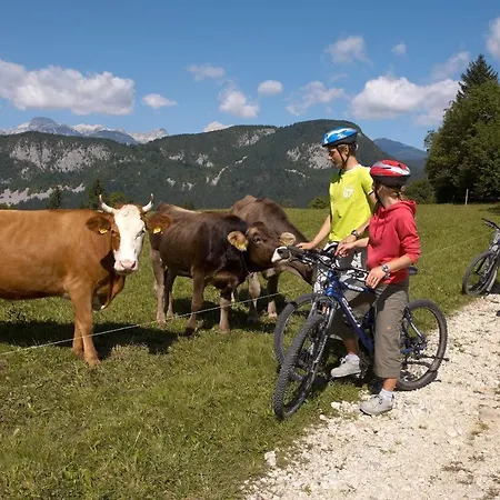 Bohinj Eco Szálloda Bohinjska Bistrica