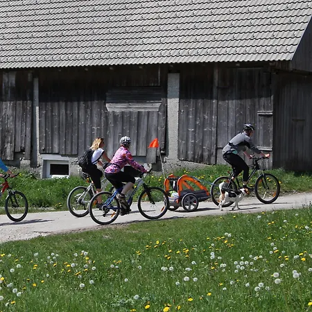 Bohinj Eco Szálloda 4*