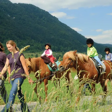 Bohinj Eco