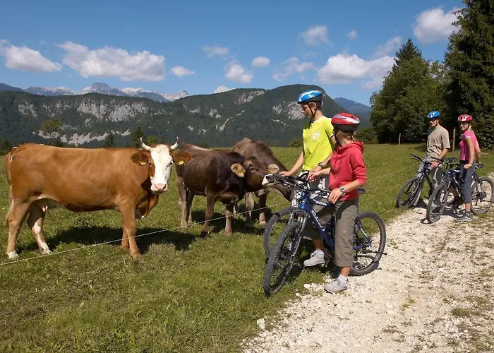 Bohinj Eco Otel Bohinjska Bistrica